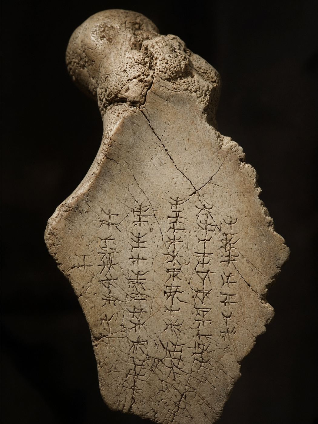 Oracle bone with cracks and signs